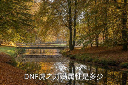 DNF虎之力满属性是多少