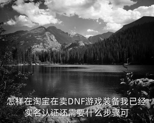 怎样在淘宝在卖DNF游戏装备我已经实名认证还需要什么步骤可