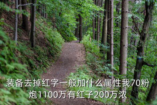 装备去掉红字一般加什么属性我70粉炮1100万有红子200万浓