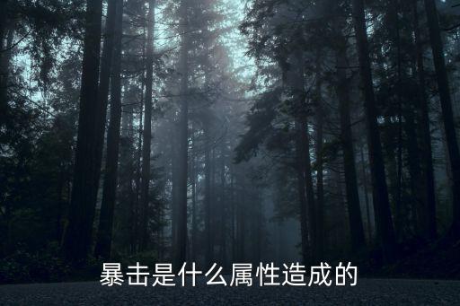 暴击是什么属性造成的