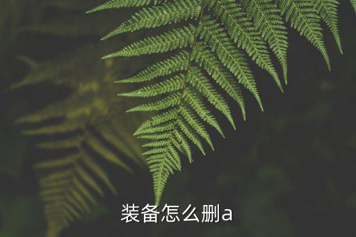 装备怎么删a