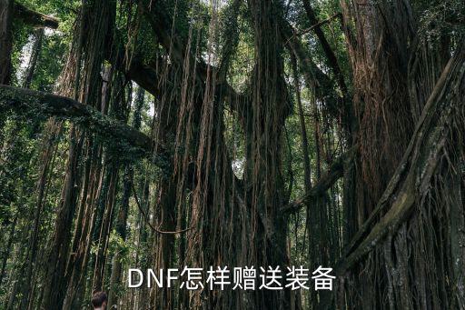 DNF怎样赠送装备