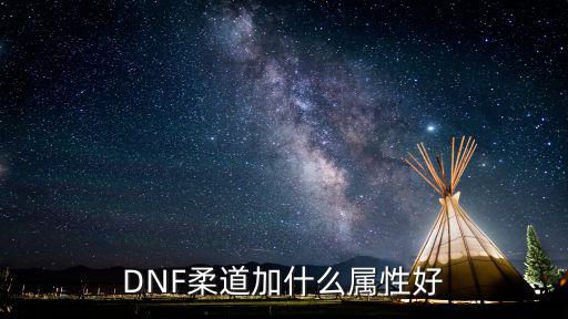 DNF柔道加什么属性好