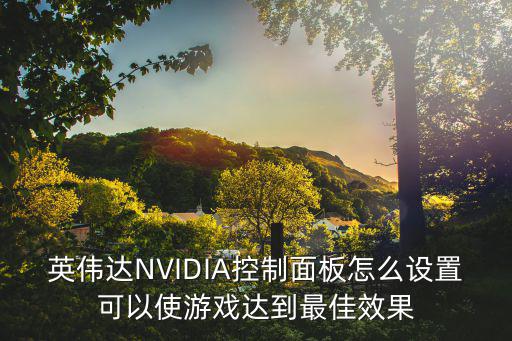 英伟达NVIDIA控制面板怎么设置可以使游戏达到最佳效果