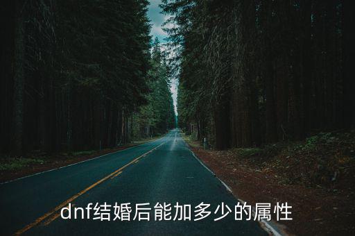 dnf结婚后能加多少的属性