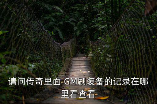 请问传奇里面 GM刷装备的记录在哪里看查看