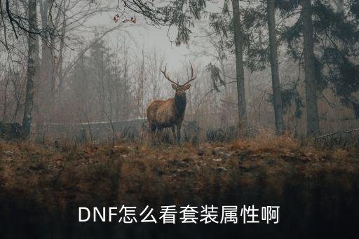 DNF怎么看套装属性啊