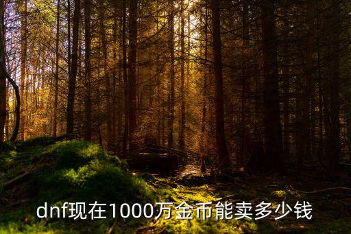 dnf现在1000万金币能卖多少钱