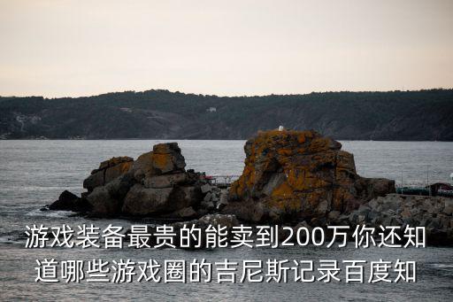 游戏装备最贵的能卖到200万你还知道哪些游戏圈的吉尼斯记录百度知