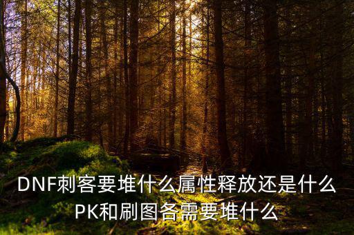 DNF刺客要堆什么属性释放还是什么PK和刷图各需要堆什么