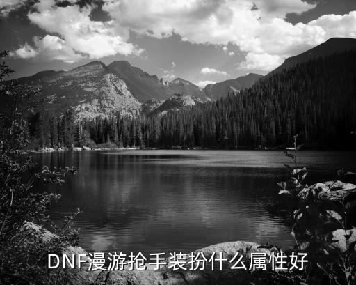 DNF漫游抢手装扮什么属性好