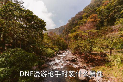 dnf漫游时装属性选什么，DNF漫游枪手时装什么属性