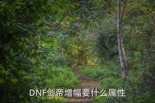 DNF剑帝增幅要什么属性