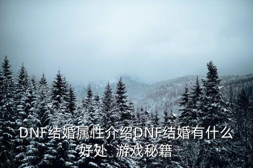 DNF结婚属性介绍DNF结婚有什么好处  游戏秘籍