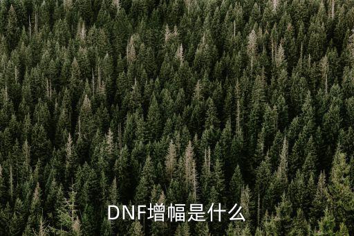 DNF增幅是什么