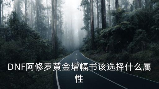 DNF阿修罗黄金增幅书该选择什么属性