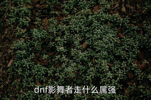 dnf影舞者走什么属强