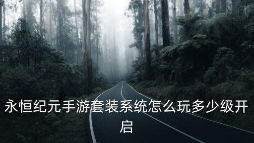 永恒纪元手游套装系统怎么玩多少级开启