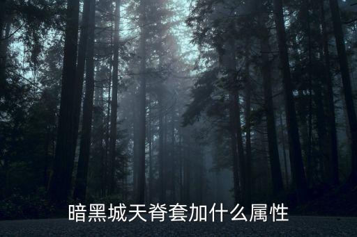 暗黑城天脊套加什么属性