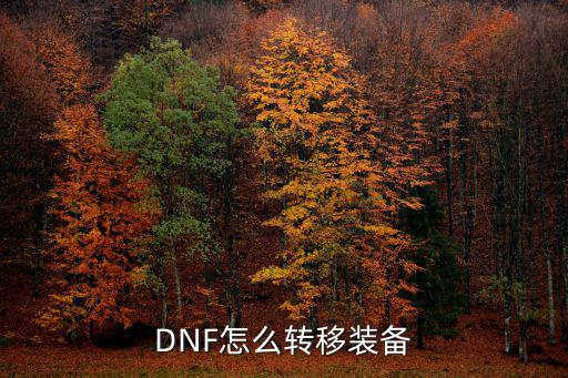 DNF怎么转移装备