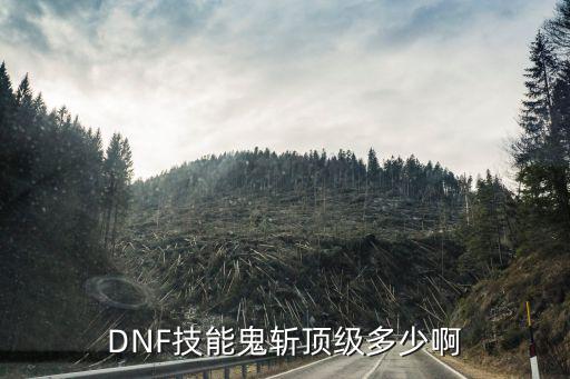 DNF技能鬼斩顶级多少啊