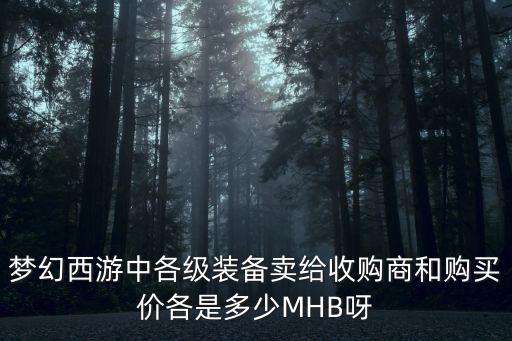 梦幻西游中各级装备卖给收购商和购买价各是多少MHB呀