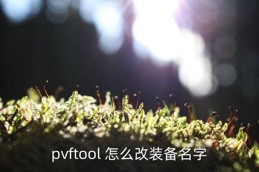 pvftool 怎么改装备名字