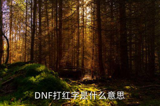 DNF打红字是什么意思