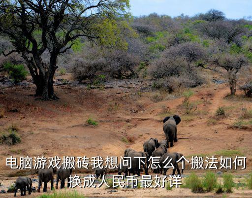 电脑游戏搬砖我想问下怎么个搬法如何换成人民币最好详