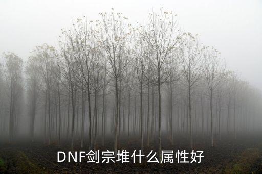 dnf剑宗下装选什么属性，DNF剑宗堆什么属性好