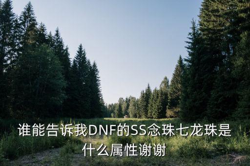 谁能告诉我DNF的SS念珠七龙珠是什么属性谢谢