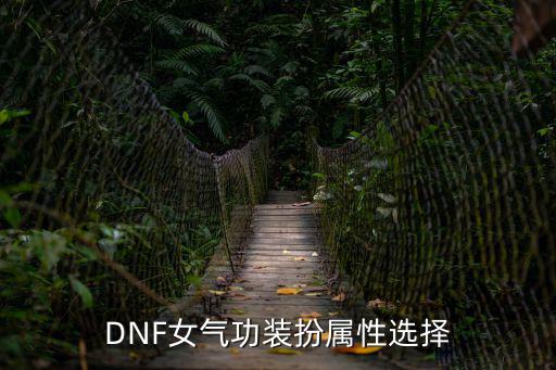 DNF女气功装扮属性选择