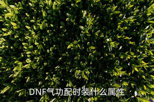 DNF气功配时装什么属性