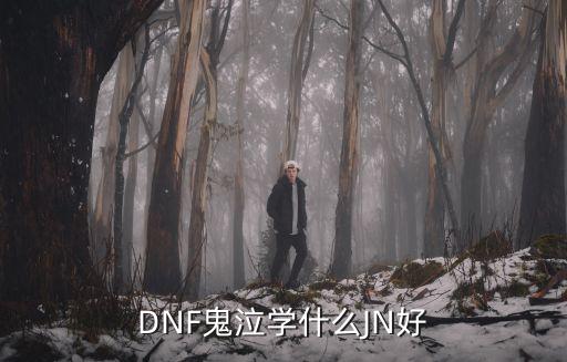 DNF鬼泣学什么JN好