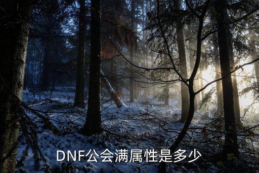 DNF公会满属性是多少