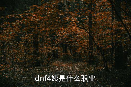 dnf4姨是什么职业