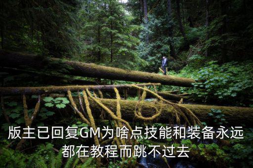 版主已回复GM为啥点技能和装备永远都在教程而跳不过去