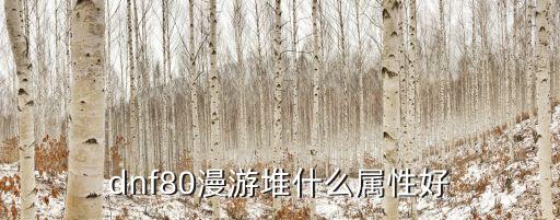 dnf80漫游堆什么属性好