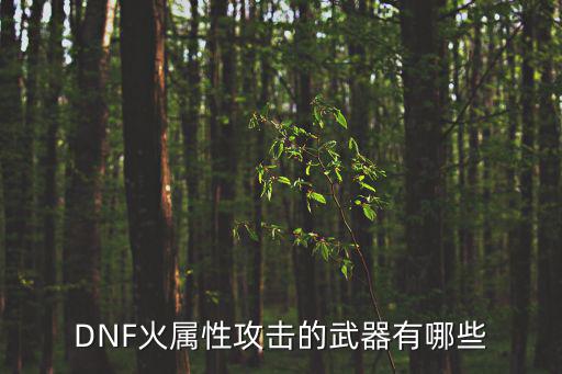 dnf什么战斧带火属性，dnf45粉天启战斧火属性强化10是什麽意思