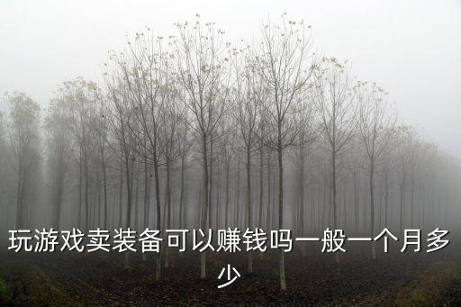 玩游戏卖装备可以赚钱吗一般一个月多少