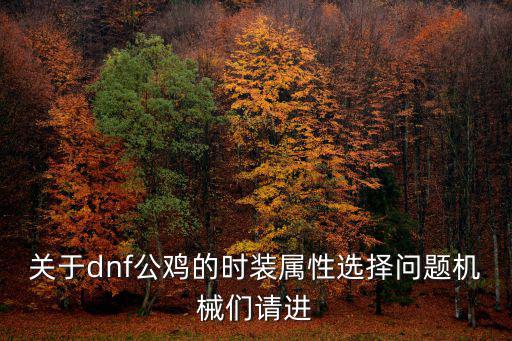 关于dnf公鸡的时装属性选择问题机械们请进