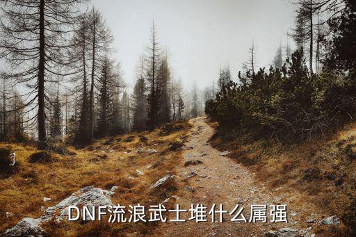 DNF流浪武士堆什么属强