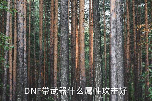 DNF带武器什么属性攻击好