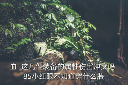 血  这几件装备的属性伤害冲突吗 85小红眼不知道穿什么装