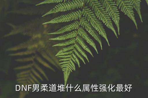 DNF男柔道堆什么属性强化最好