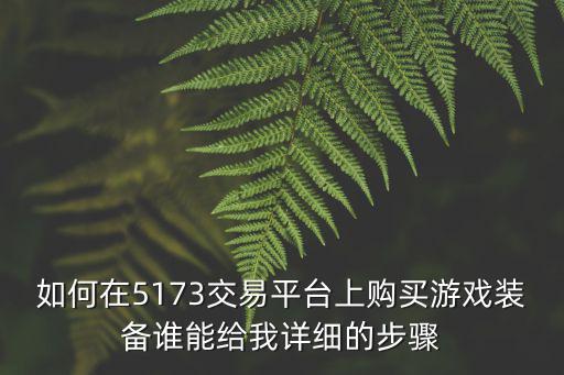 如何在5173交易平台上购买游戏装备谁能给我详细的步骤