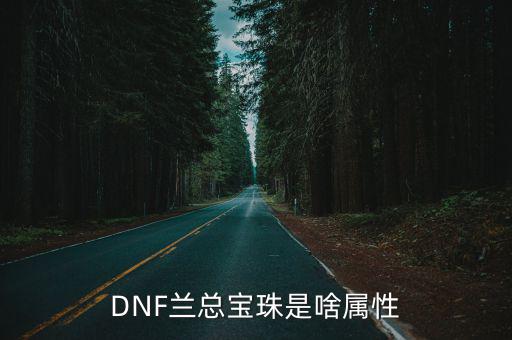 DNF兰总宝珠是啥属性