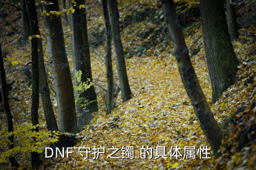 DNF 守护之镯 的具体属性