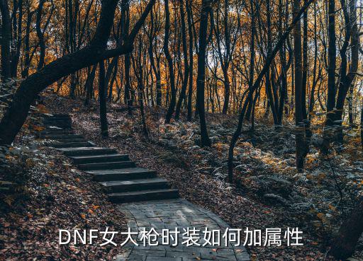 DNF女大枪时装如何加属性