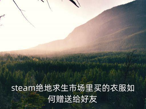 steam如何送游戏装备，steam上可以赠送装备吗